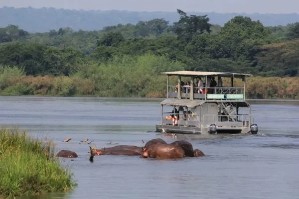 7 Day | Uganda Discovery Safari