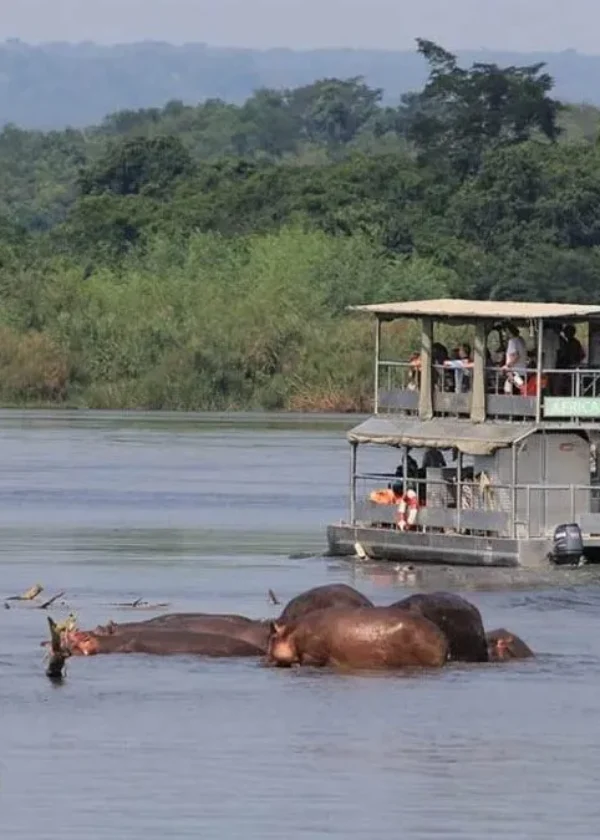 7 Day | Uganda Discovery Safari