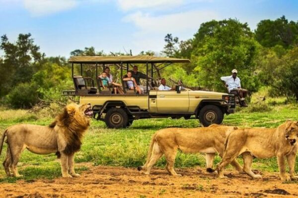 15 Day | Uganda Classic Safari