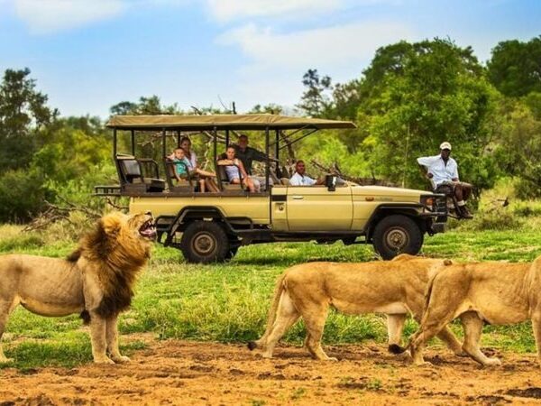 15 Day | Uganda Classic Safari