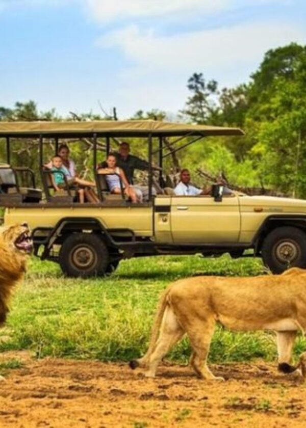 15 Day | Uganda Classic Safari